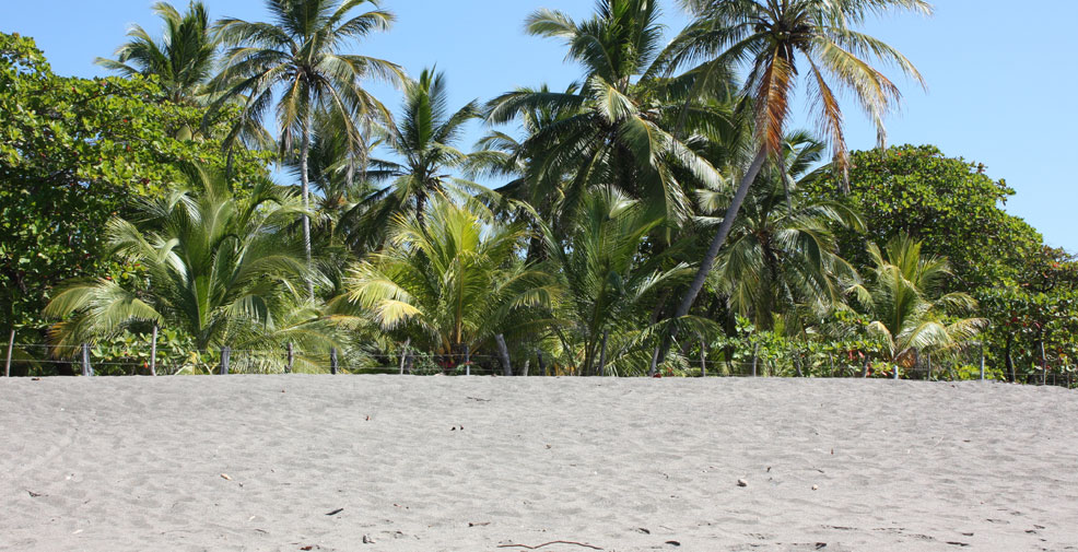 Seaside Mariana In The News In Nicaragua